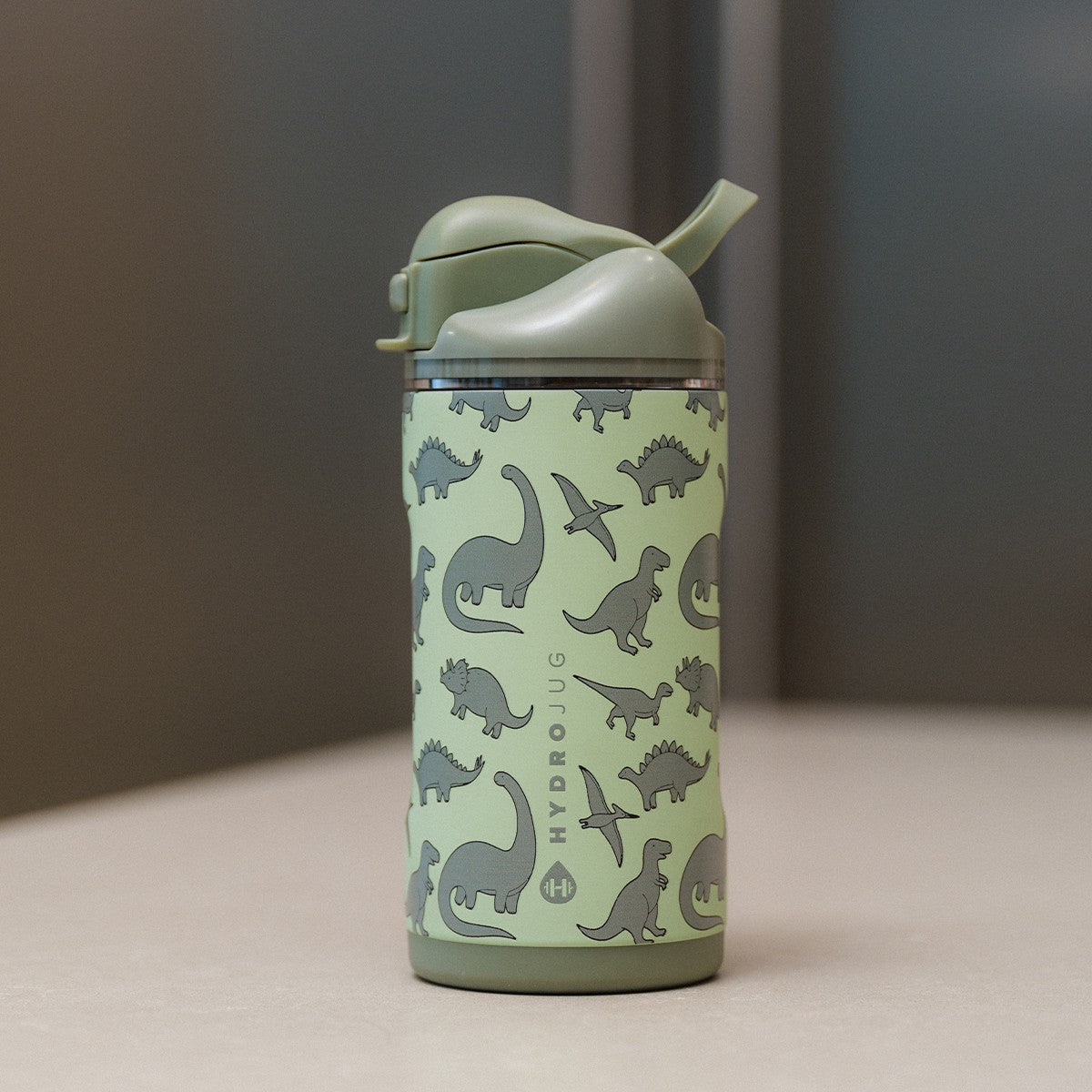 HydroJug | Ease2o 14oz - Leakproof 2-in-1 Kids Water Bottle with Straw & Chug Spout – Dinosaur